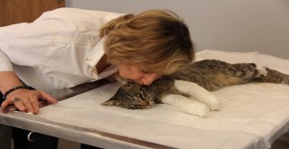 İsmi Kadar Şanslı Olamadı