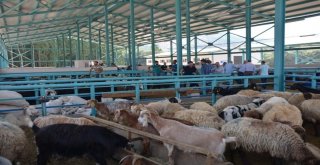 Tatvanda Arife Günü Telaşı