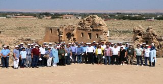 Belediye Başkanları Şanlıurfada İsot Hasadına Katıldı