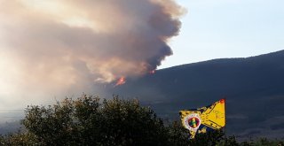 Kastamonuda Orman Yangını