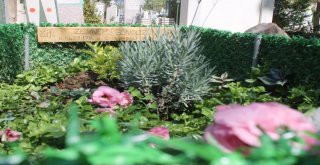 Tüm-İş Konfederasyonundan Bakıcı Annenin Ölümüne İlişkin Açıklama