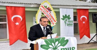 Muşta Pancar Alım Kampanyası Start Aldı
