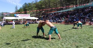 Kapaklıda Yayla Şenliği