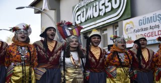 Gümüşhanede 24.uluslararası Kuşburnu, Pestil, Kültür Ve Turizm Festivali Başladı