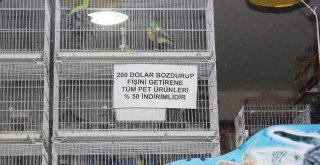 Hataylı Esnaftan Döviz Çağrısına Tam Destek