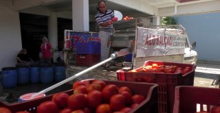 Kadınlar ‘Alo Salçacı İle Büyük Dertten Kurtuldu