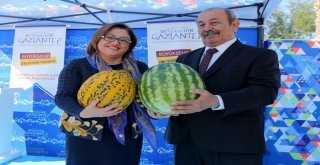 Büyükşehirin Çiftçilere Desteği Sürüyor