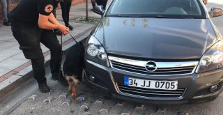 (Özel) İstanbulda Narkotik Polisi Okul Çevresinde Kuş Uçurtmadı