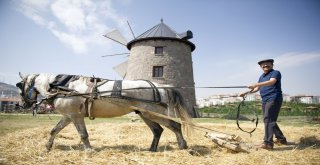Başkentin Göbeğindeki Köyde Şenlik Var
