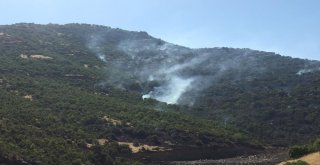 Beytüşşebapta Orman Yangını