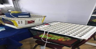Muğla Polisinden Kumar Baskını