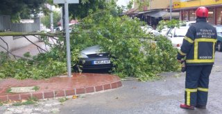 Fırtınada Devrilen Ağaç Dalı Otomobilin Üzerine Düştü