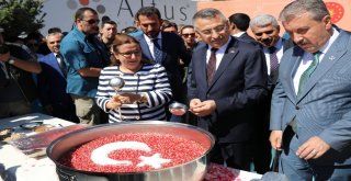 Cumhurbaşkanı Yardımcısı Oktay, Bakan Pekcan İle Birlikte Türk Bayrağı Logolu Aşure Dağıttı