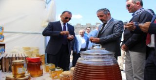 Ardahanda Bal Festivali Coşkusu