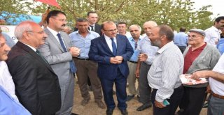 Kırıkkalede Badem Hasadı Başladı