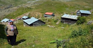 Sıhırçukuru Yaylası, Eşsiz Manzarasıyla Büyülüyor