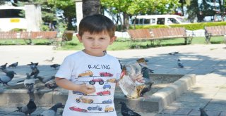 Dondurma Değil Kuş Yemi İstiyor