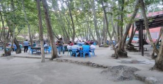 Terörden Temizlenen Kırsaldaki Mesire Alanları Ziyaretçilerin Akınına Uğruyor