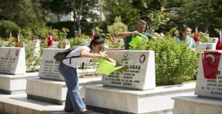 Şehit Yakınlarının Hüzünlü Bayramı