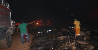 Adıyamanda Korkutan Orman Yangını