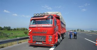 Otobanda Can Pazarı