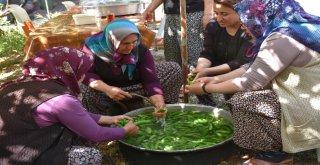 Hobi Bahçesinden Turşu Üretiyorlar