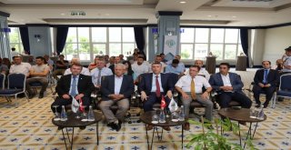 Kaymakam Sırmalı, “Zeytinimiz Ve Zeytinyağımız  En Büyük Değerimizdir”