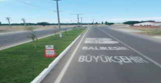 Balıkesirde Refüjler Çiçek Açtı