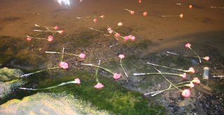 Deprem Şehitleri Gölcükte Anıldı... “19 Yıl Değil, 39 Yıl Geçse De Bu Hacı Hala Yüreğimizde Tazedir”