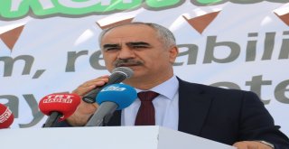 Sokak Hayvanlarına 7,5 Milyon Liralık Yeni Yuva