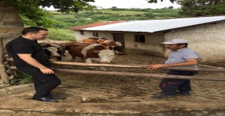 Kırsal Hizmetler Ekipleri Köylerde Hizmete Devam Ediyor