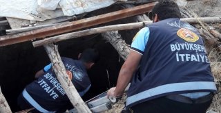 Başkalede Lağım Çukuruna Düşen Oğlak Kurtarıldı