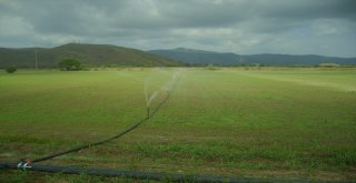 İşyurtlarından Milli Tohumla Üretim Seferberliği