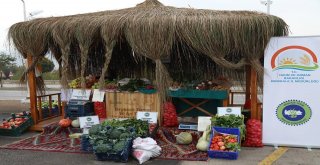 Kırıkkalede Organik Tarım Standı Açıldı