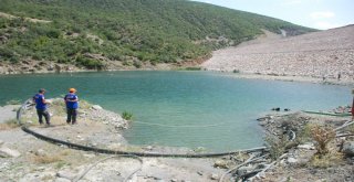 Kayıp Evrimi Balık Adamlar Arıyor