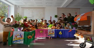 Başak Montessori Çocuk Akademisi Çocukları 21.yüzyılın Becerilerine Hazırlıyor