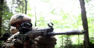 Jöperler İlk Defa Bu Kadar Yakından Görüntülendi