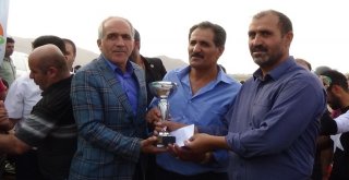 Terör Bitti, Ata Sporu At Yarışları Hız Kazandı