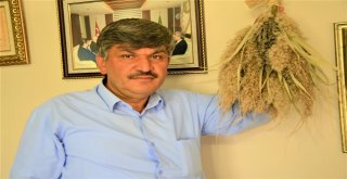 Frig Vadisi Lavanta Kokmaya Başladı