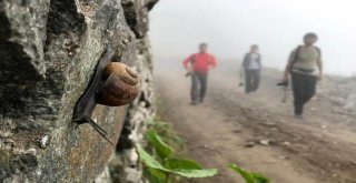 Gümüşhaneli Dağcılar Dünyanın En Tehlikeli Yolunda