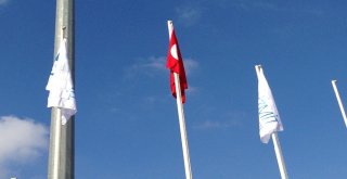 İzmit Belediyesi, Kentteki Türk Bayraklarını Yeniledi