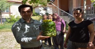 Hobi Bahçesinden Turşu Üretiyorlar