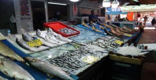 Deniz Balıkları, Denize Kıyısı Olmayan Şehirlerde Yerini Almaya Başladı