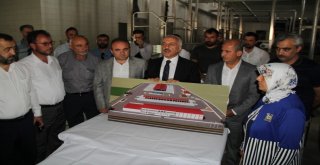 Çoruma Modern Mezbaha