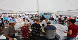 Adapazarı Belediyesinden Pilav İkramı