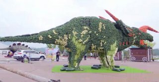 Çinde Dev Sebze Heykeli Guinness Rekorlar Kitabına Girdi