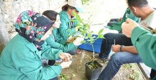 Abalı: 2016 Yılından Bu Yana 387 Kadın Çiftçiye Destek Sağlandı