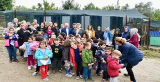 Lapsekide Ana Okulu Öğrencilerinden Hayvan Barınağına Ziyaret