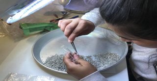 Çeşmenin 4 Bin Yıllık Tarihine Işık Tutacak Kazılar Yeniden Başladı