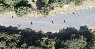 (Özel) Yüzde 99 Başarı, Onlar İçin “Başarısızlık”